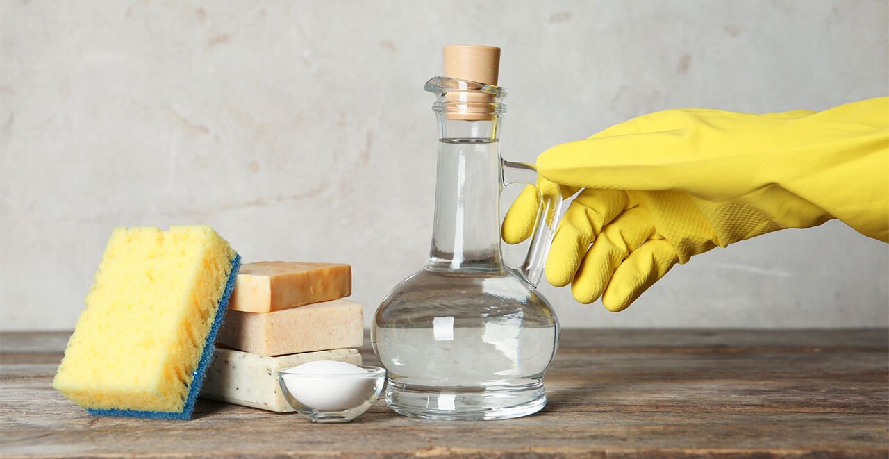 Organik Beyaz Sirkenin Faydaları ve Geniş Kullanım Alanları